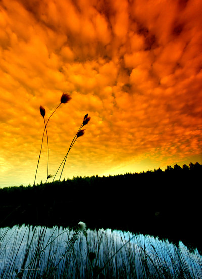 25+ Breathtaking examples of Natural Sky Photography