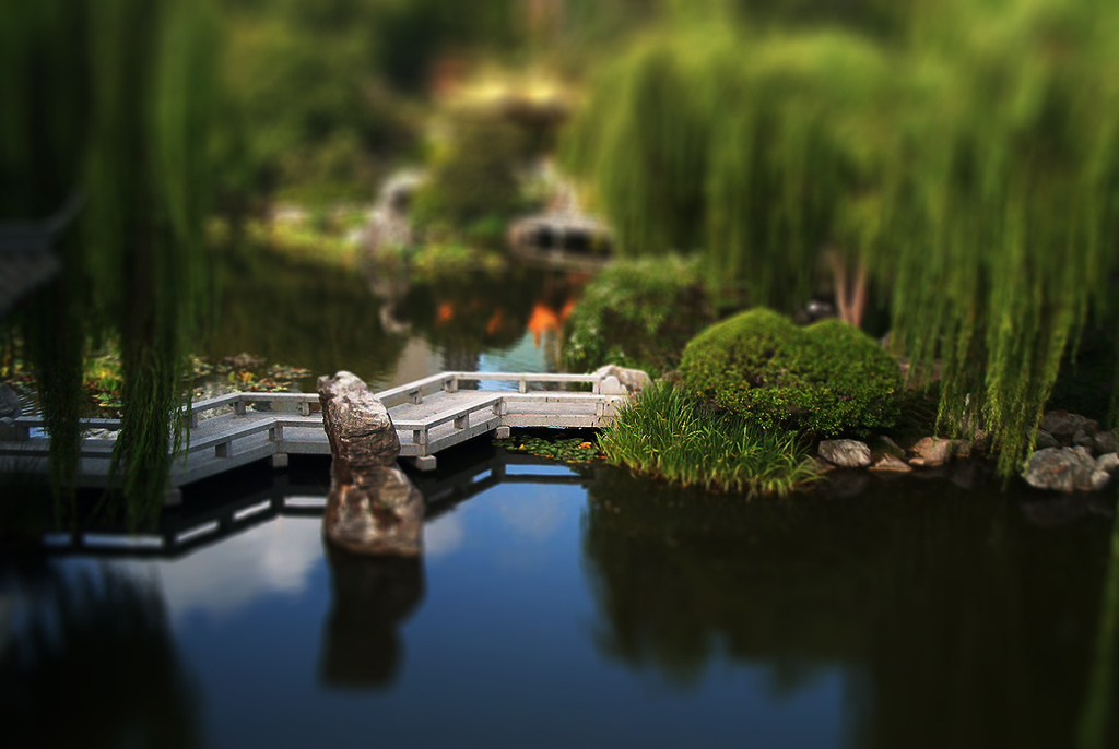 Chinese Garden tilt Shift Photography
