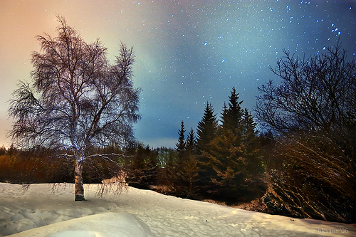 Magical Snow - Nightscape photography